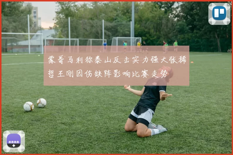 蒙哥马利称泰山反击实力强大张稀哲王刚因伤缺阵影响比赛走势