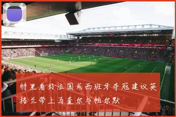 特里看好法国或西班牙夺冠建议英格兰带上马奎尔与帕尔默